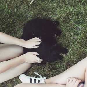 Meet your Posher, Cora